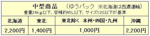 花壇の仕切りに　擬木　ガーデンブロック　繋げて延長　200-01