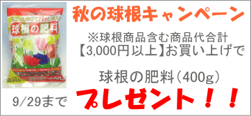 肥料プレゼント