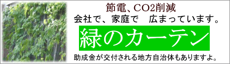 緑のカーテン用品はこちらから