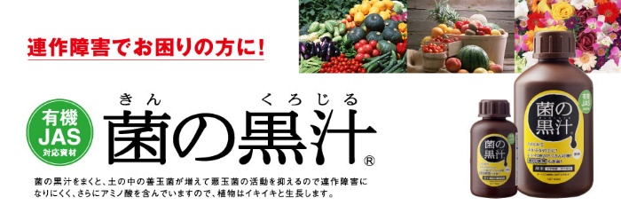 菌の黒汁