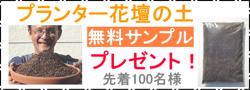 ヤフオクへＧＯ！